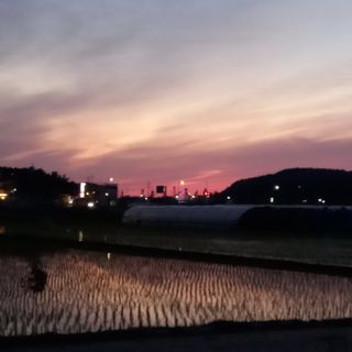 윤충기님의 우리동네 · 동네자랑 작성글 사진