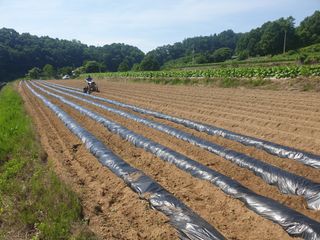 감7909님의 콩 · 자유게시판 작성글 사진