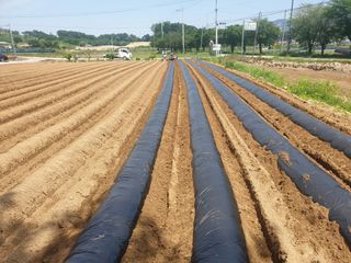 감7909님의 콩 · 자유게시판 작성글 사진