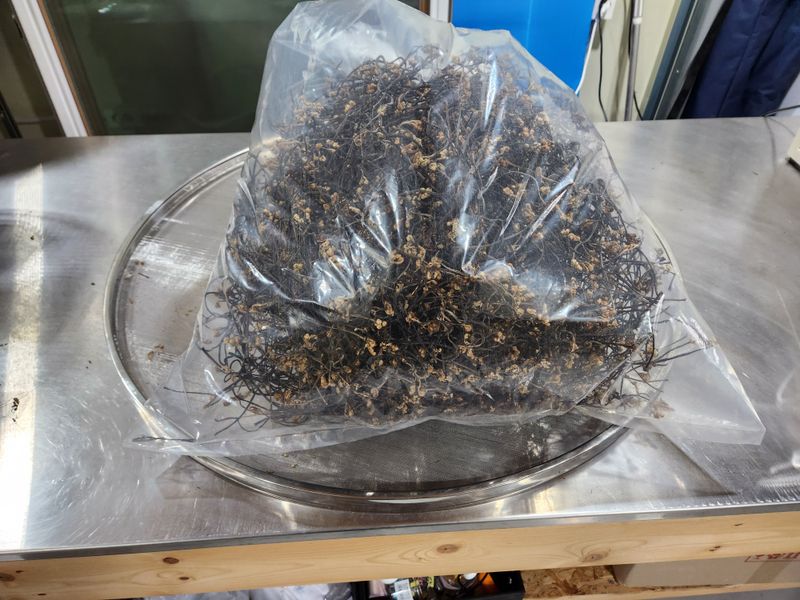 양현만님의 장터 판매 상품 [지리산고사리 600g] 첨부 사진