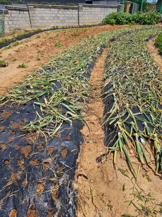 심경자님의 자유주제 · 자유게시판 작성글 사진