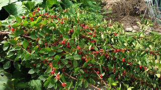 야산 양 형근님의 자유주제 · 자유게시판 작성글 사진