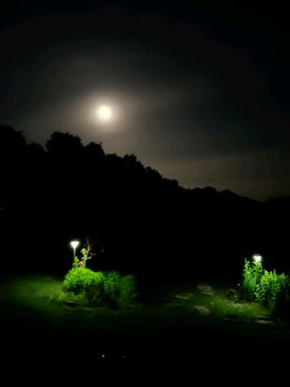 헬릭스님의 자유주제 · 사진전 작성글 사진