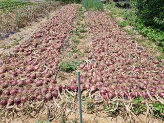 (장수 차행준)님의 자유주제 · 자유게시판 작성글 사진