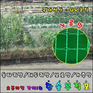 한솔부직포님의 작성글 사진