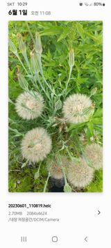 팜모닝 자유주제·자유게시판 게시글 이미지