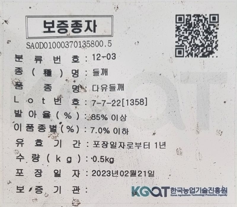 장터 상품 [다유 들깨모종128구 ] 썸네일