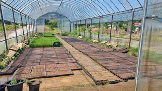 조명기님의 작성글 사진