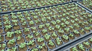 조명기님의 작성글 사진