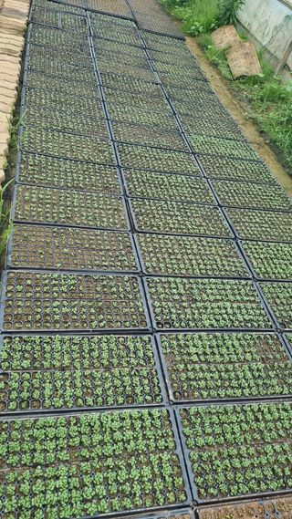 조명기님의 작성글 사진