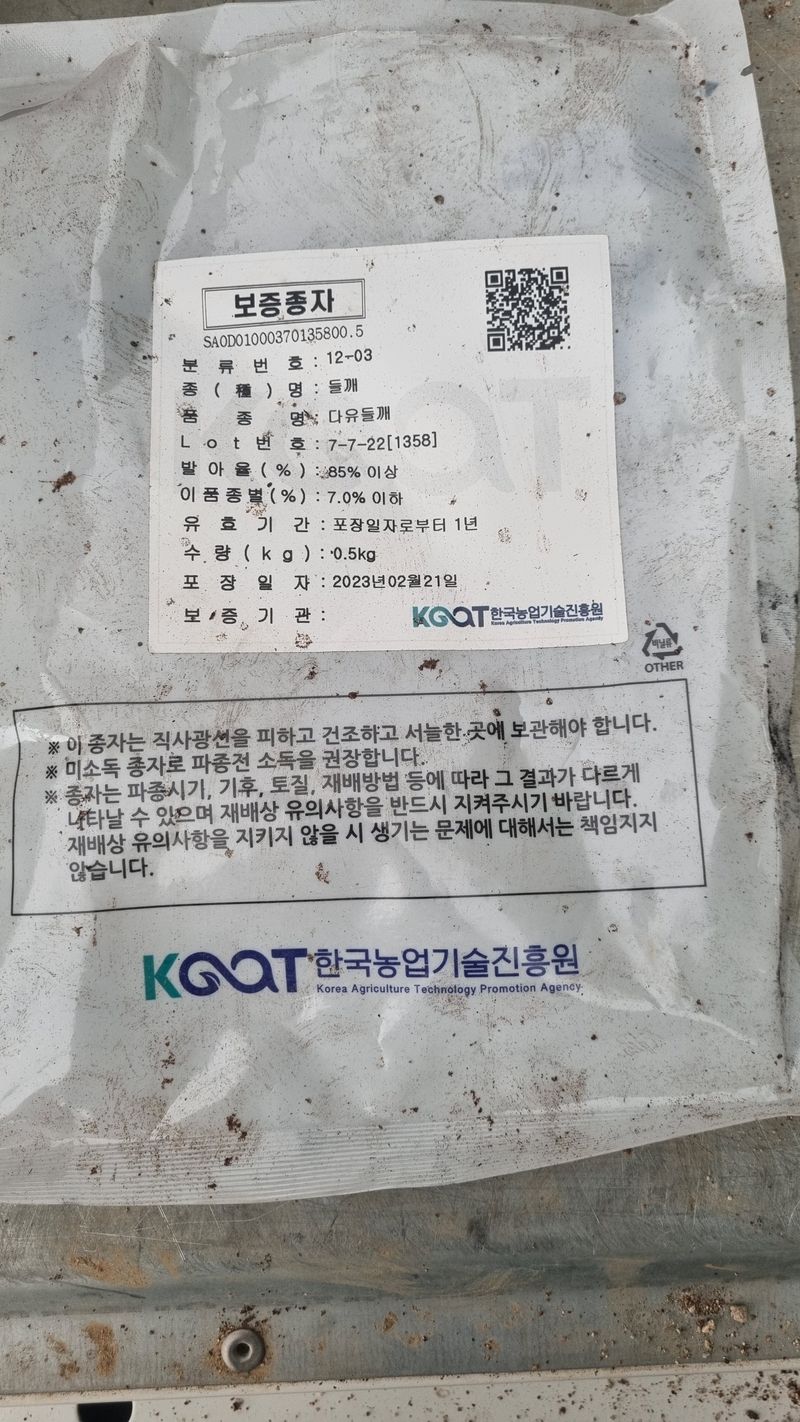 조명기님의 장터 판매 상품 [다유 들깨모종128구 ] 첨부 사진