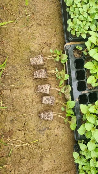 조명기님의 작성글 사진