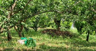 이정운님의 기타작물 · 자유게시판 작성글 사진