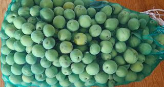 이정운님의 기타작물 · 자유게시판 작성글 사진