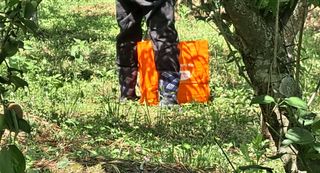 이정운님의 기타작물 · 자유게시판 작성글 사진