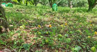 이정운님의 기타작물 · 자유게시판 작성글 사진