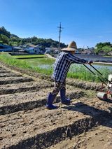 팜모닝 콩·자유게시판 게시글 이미지