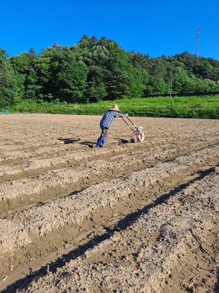 김영미님의 콩 · 자유게시판 작성글 사진