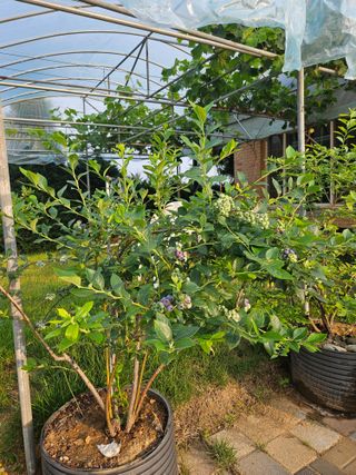 호욱33459725님의 기타작물 · 자유게시판 작성글 사진