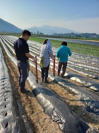 이영수님의 콩 · 자유게시판 작성글 사진