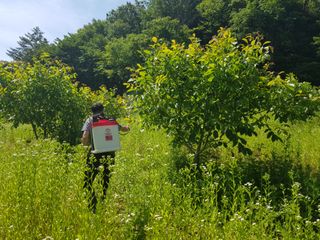 정석구님의 기타작물 · 자유게시판 작성글 사진