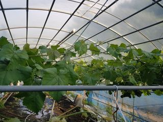 정석구님의 기타작물 · 자유게시판 작성글 사진