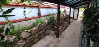 달맛햇복숭아농원님의 복숭아 · 자유게시판 작성글 사진