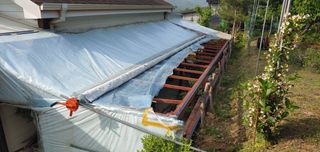 달맛햇복숭아농원님의 복숭아 · 자유게시판 작성글 사진