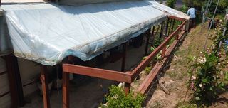 달맛햇복숭아농원님의 복숭아 · 자유게시판 작성글 사진