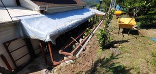 달맛햇복숭아농원님의 복숭아 · 자유게시판 작성글 사진