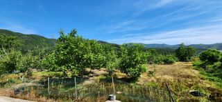 신동희님의 자유주제 · 자유게시판 작성글 사진