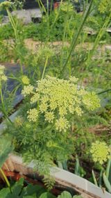 팜모닝 자유주제·사진전 게시글 이미지