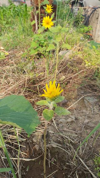 황의성님의 자유주제 · 사진전 작성글 사진