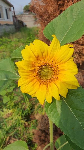 황의성님의 자유주제 · 사진전 작성글 사진