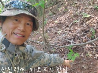 약초꾼님의 기타작물 · 자유게시판 작성글 사진