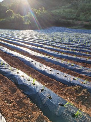 장미부인님의 자유주제 · 자유게시판 작성글 사진