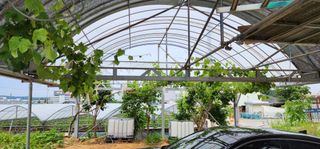 이희연님의 자유주제 · 자유게시판 작성글 사진