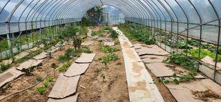 이희연님의 자유주제 · 자유게시판 작성글 사진