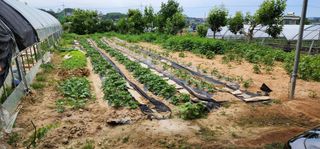 이희연님의 자유주제 · 자유게시판 작성글 사진