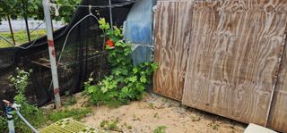 이희연님의 자유주제 · 자유게시판 작성글 사진