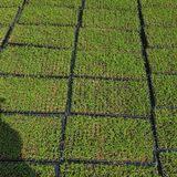 팜모닝 기타작물·자유게시판 게시글 이미지