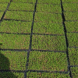 오명희 님의 기타작물 · 자유게시판 작성글 사진