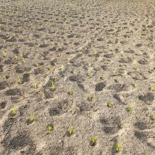 오명희 님의 기타작물 · 자유게시판 작성글 사진