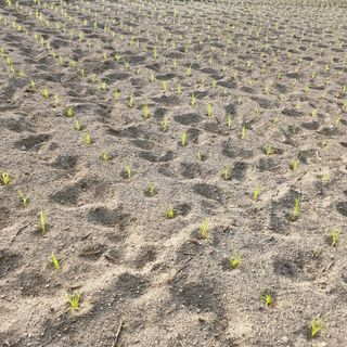 오명희 님의 기타작물 · 자유게시판 작성글 사진