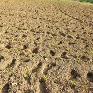 오명희 님의 기타작물 · 자유게시판 작성글 사진