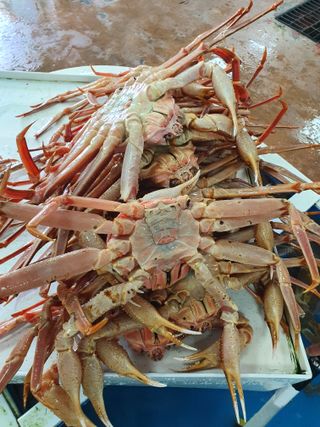 노가네수산님의 우리동네 · 동네정보 작성글 사진