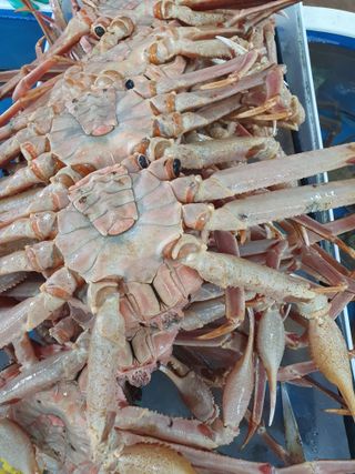 노가네수산님의 우리동네 · 동네정보 작성글 사진