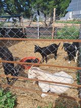 팜모닝 · 게시글 이미지