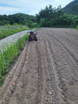 아준님의 참깨 · 자유게시판 작성글 사진