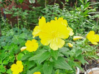 울금박사[빈덕열]님의 자유주제 · 자유게시판 작성글 사진